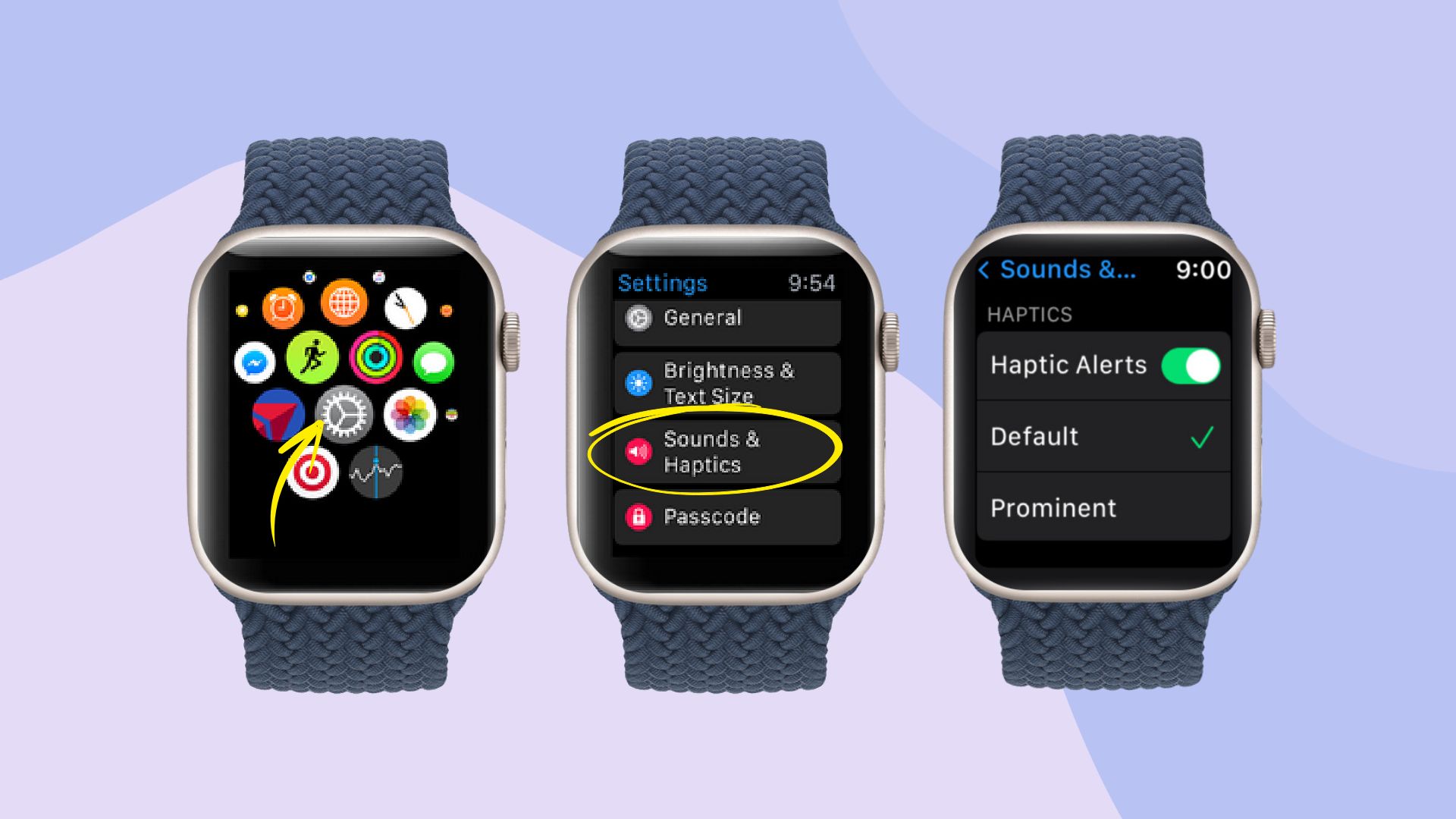 how to turn on haptic alerts on apple watch