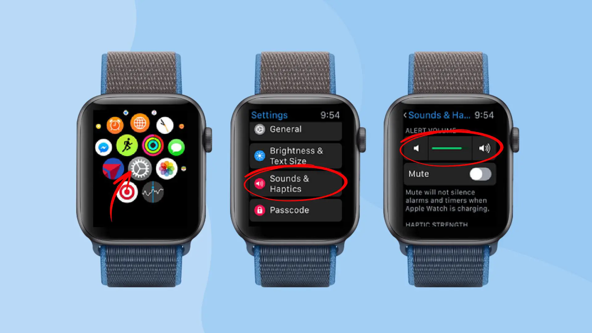 how to turn volume up on Apple Watch