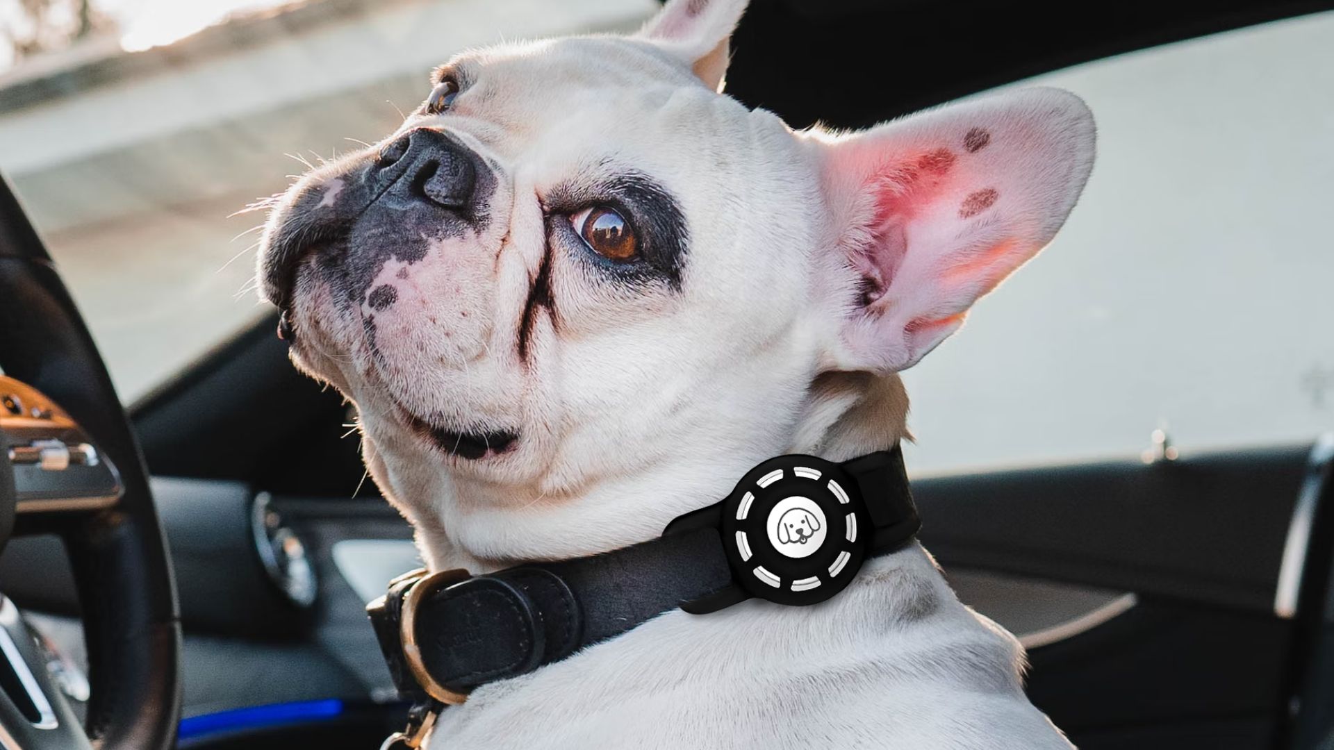 THXSBUDDYAirTag Dog Collar Holder