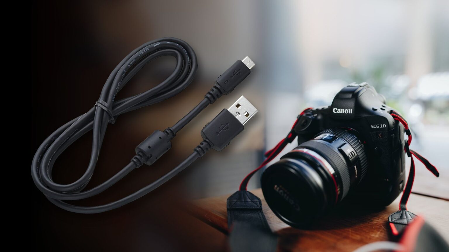 How to Connect Canon Camera to Mac Techtouchy