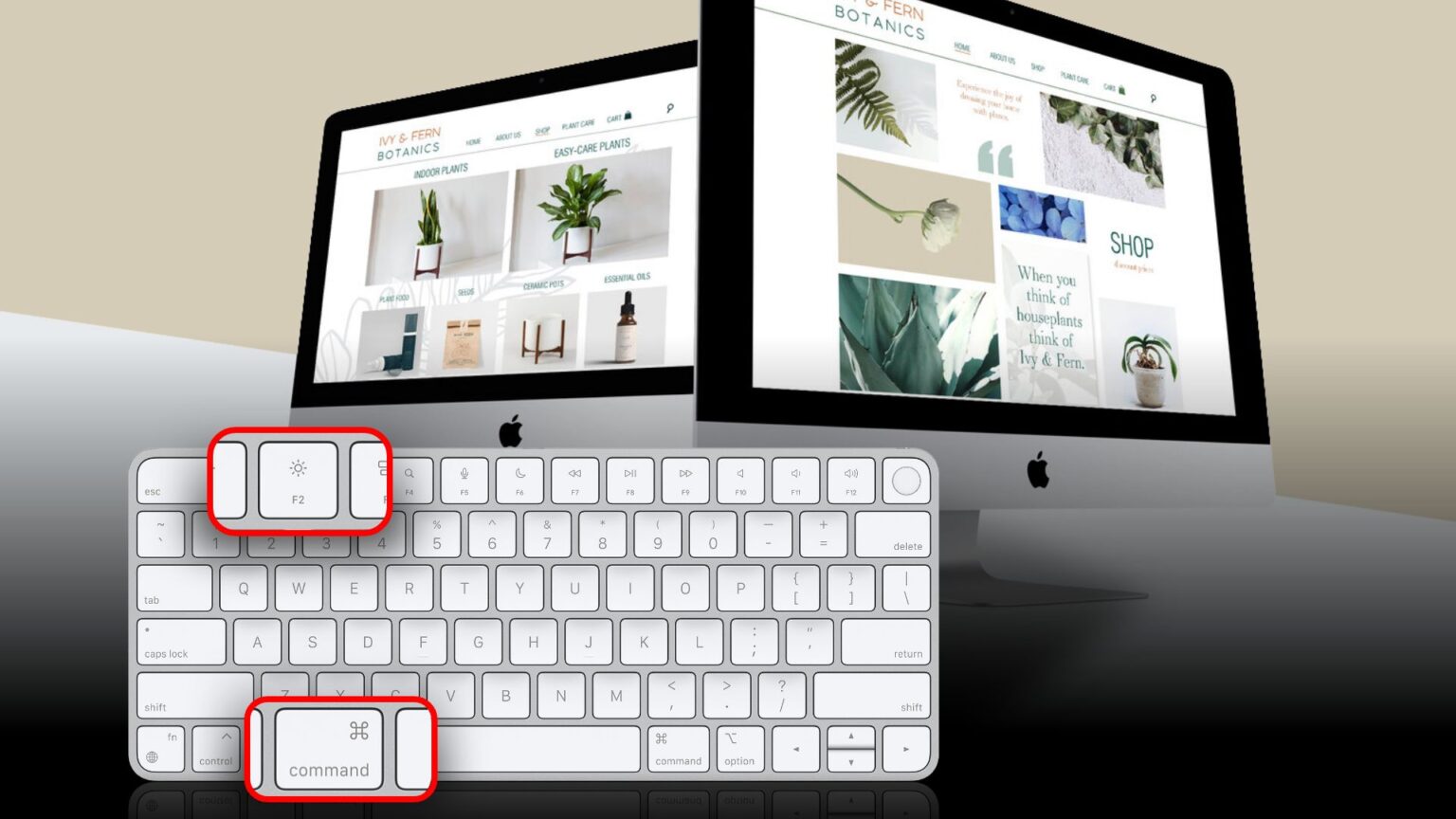 How to Connect Two Macs for a Dual Display Techtouchy