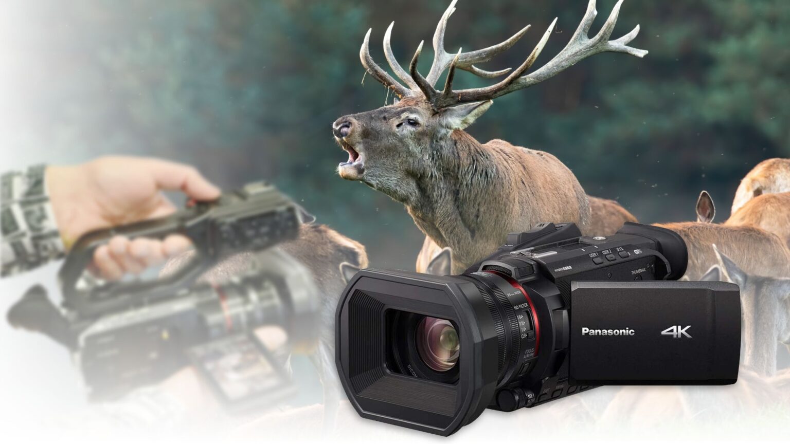 11 Best Cameras for Filming Hunts in 2023 Techtouchy