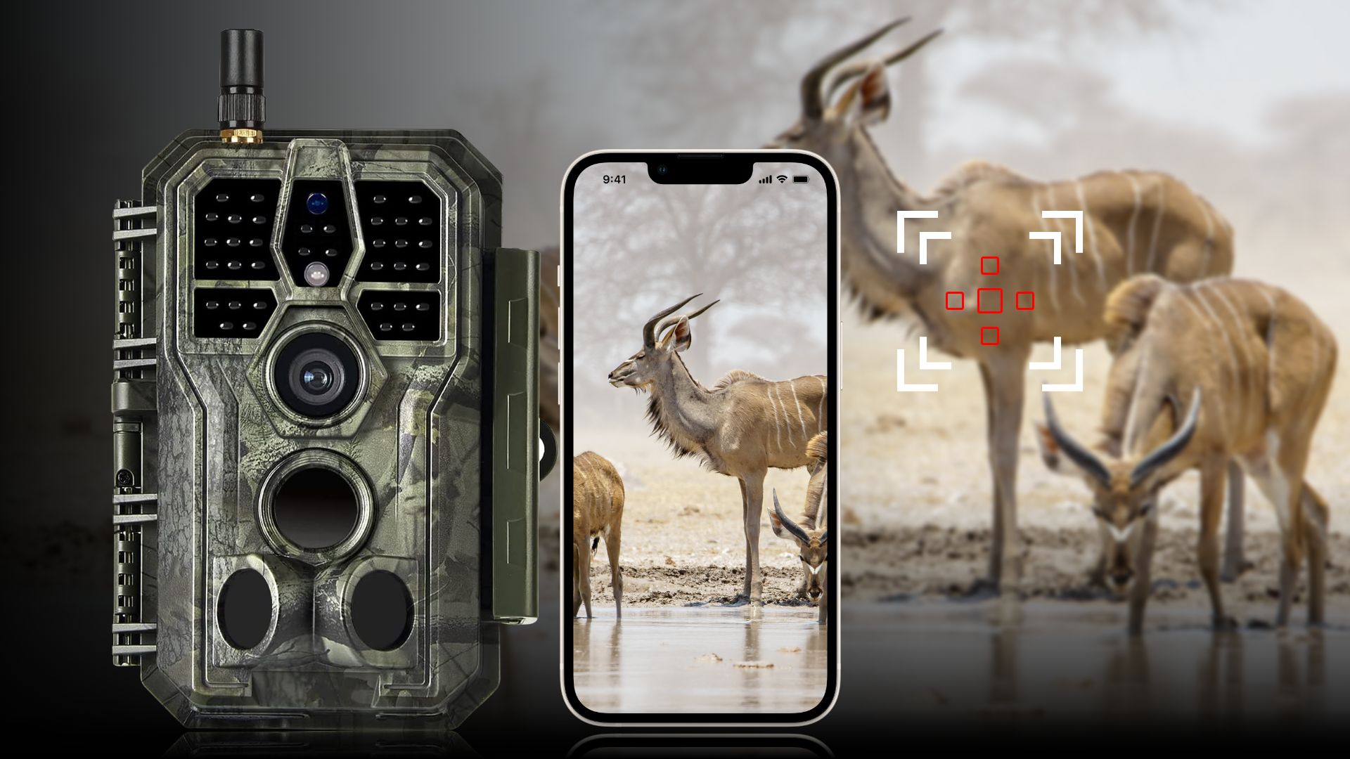 BLAZEVIDEO Trail Camera