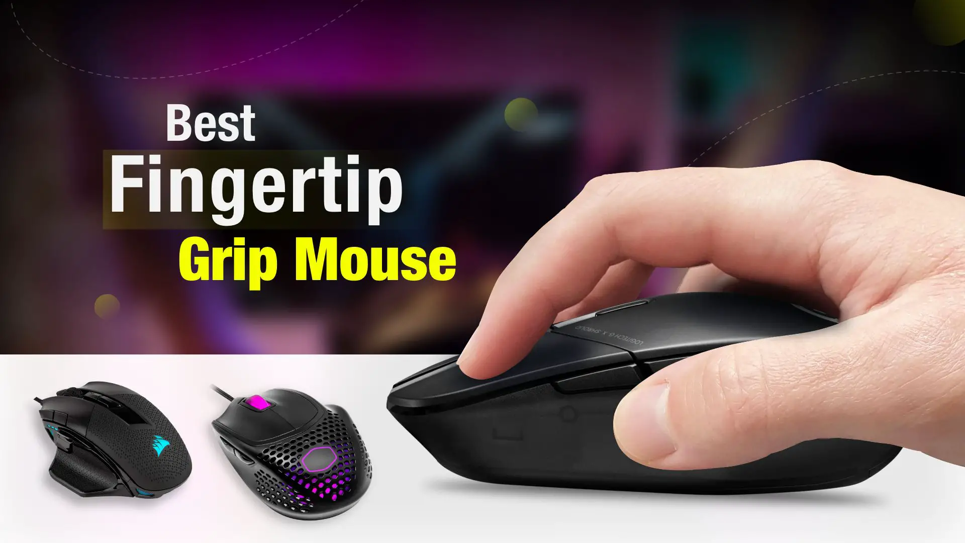 Best Fingertip Grip Mouse