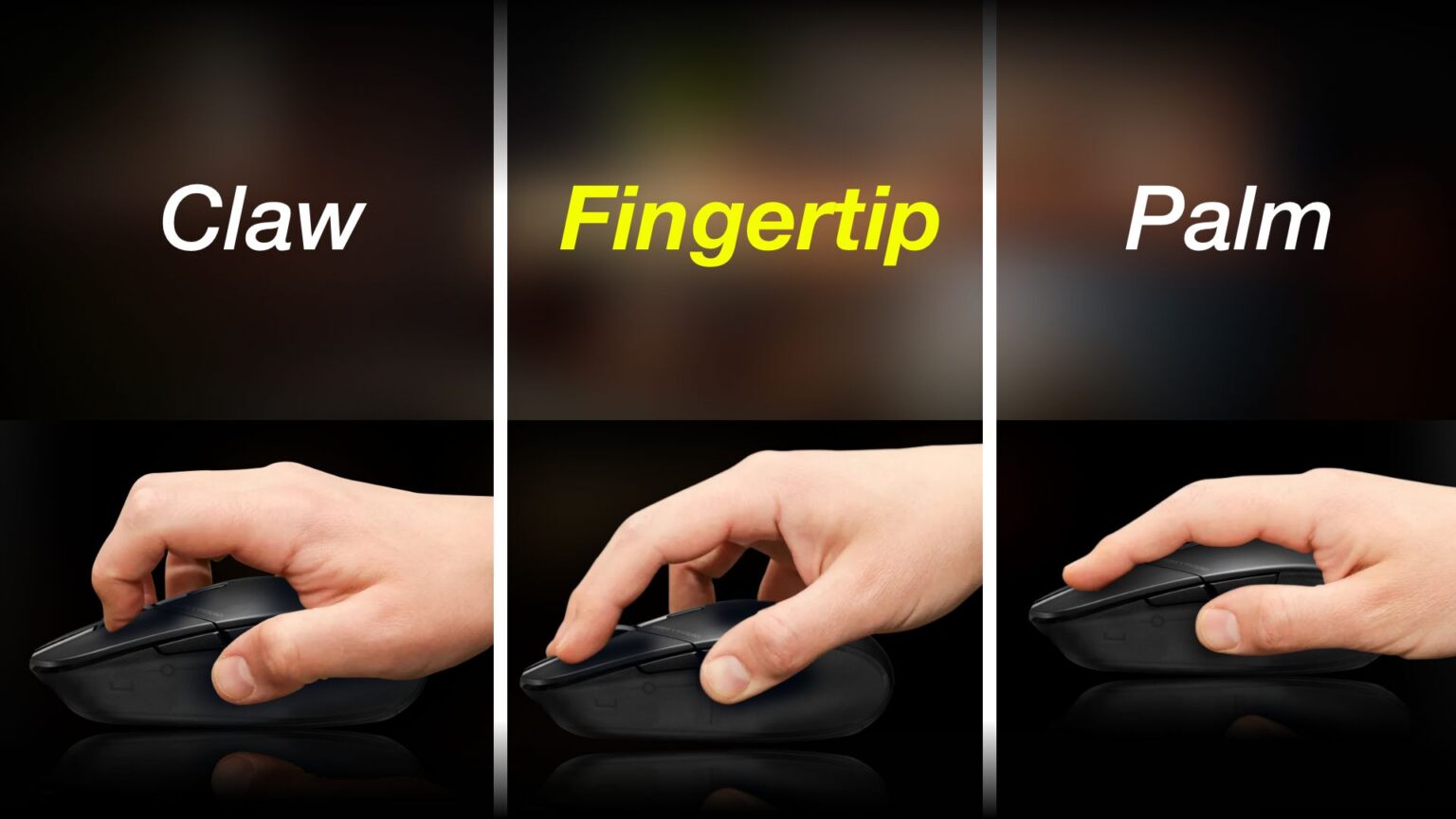 11 Best Fingertip Grip Mouse of 2023 Techtouchy