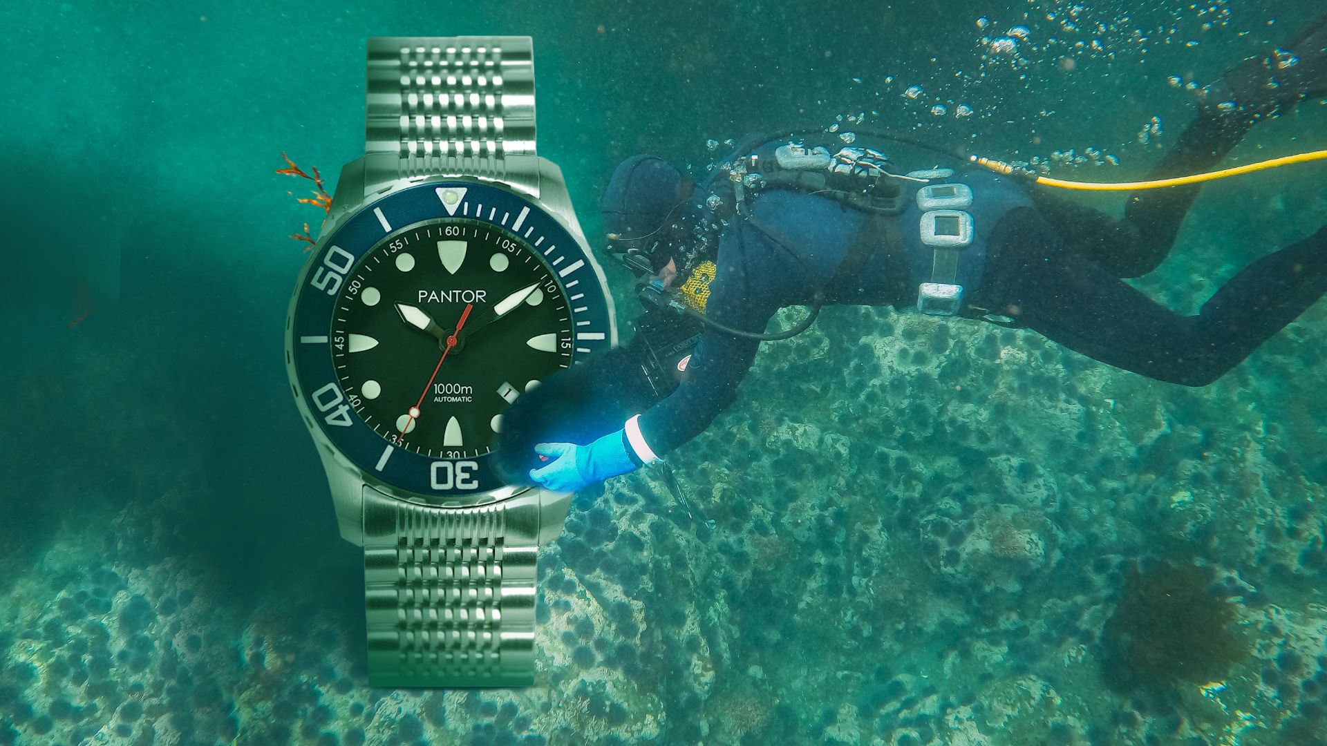 Pantor Seahorse Dive Watch