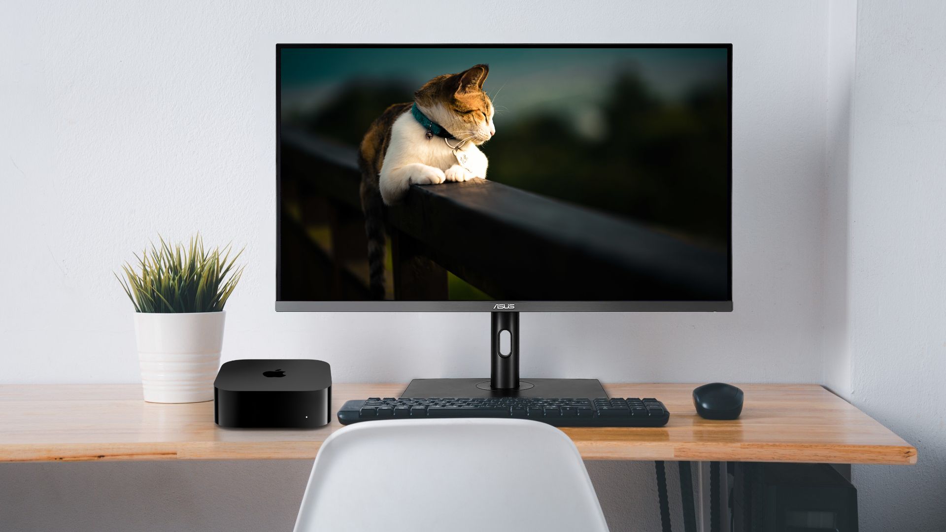 01 ASUS ProArt Display PA32UCR-K