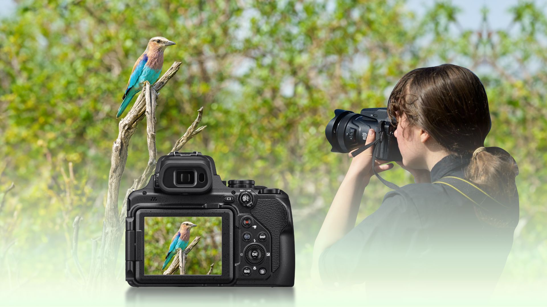 1.Nikon COOLPIX P1000