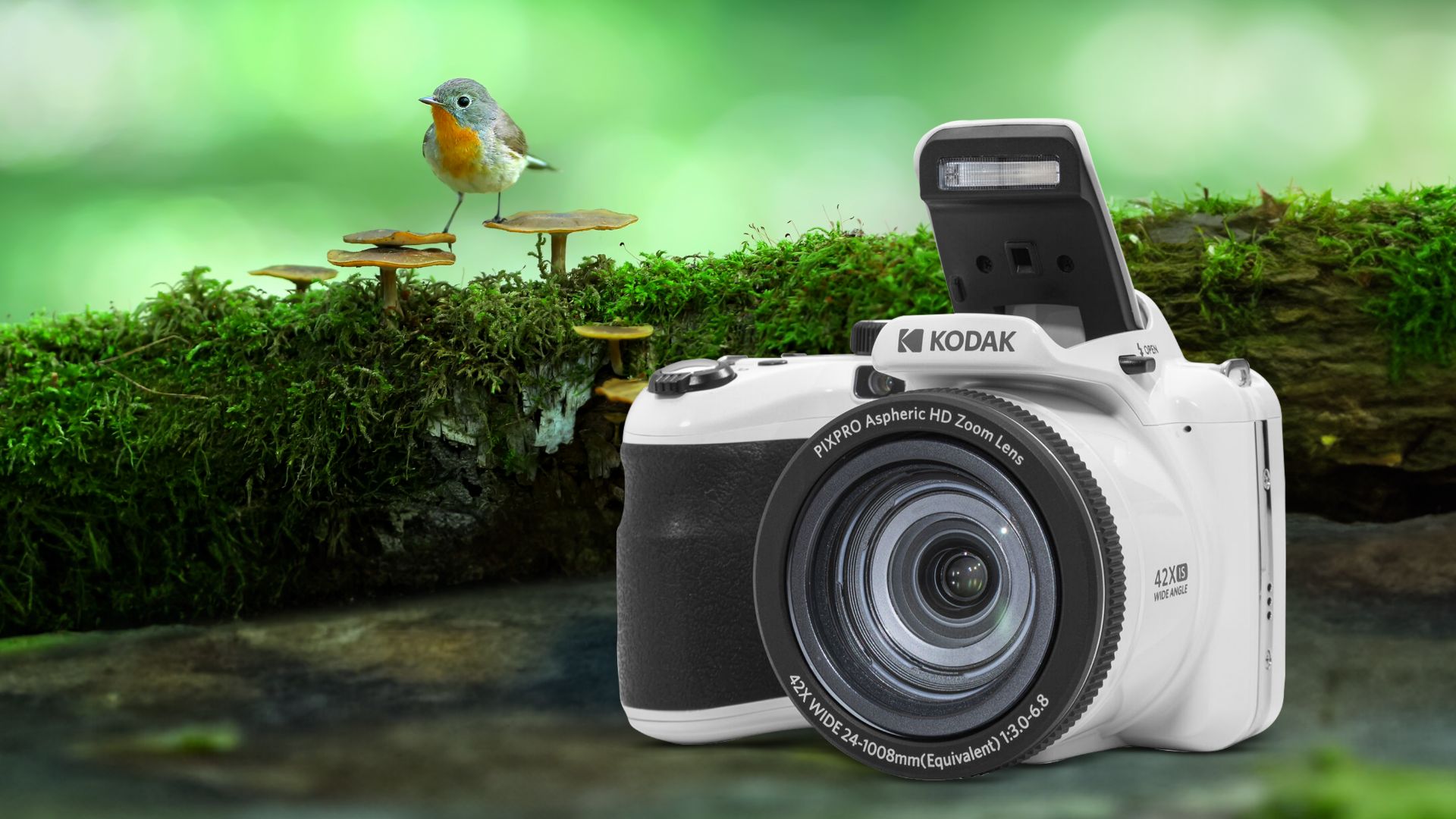 10KODAK PIXPRO AZ425
