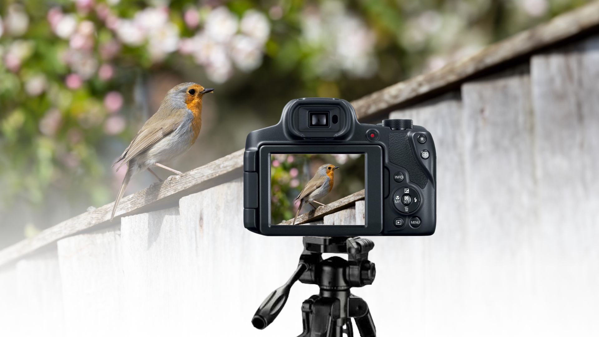 2.Canon Powershot SX70 HS
