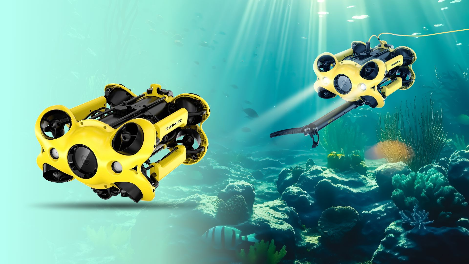 Chasing M2 ROV